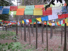 Prayer Flags